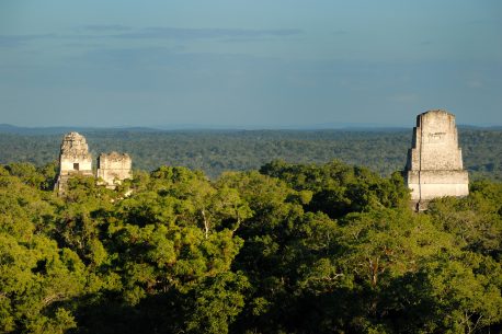 Tikal pryramid mayan
