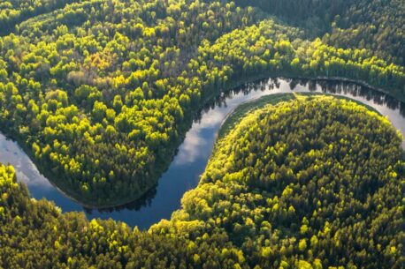 L'Amazzonia e la più grande foresta pluviale del mondo, ricca di biodiversità e fondamentale per il clima globale e l'ecosistema