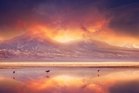 sunset over the Andes Mountains and Atacama Desert