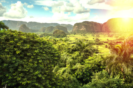Panorama alle prime luci del giorno della Valle di Vinales, Cuba.