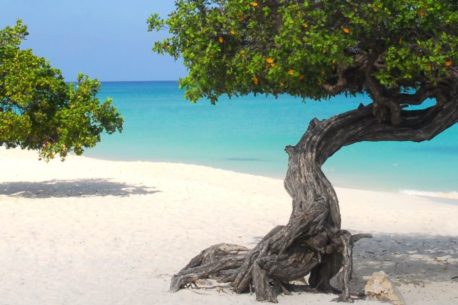 Aruba, Eagle Beach