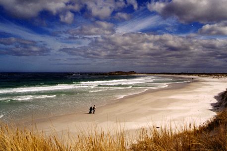 Falkland beach