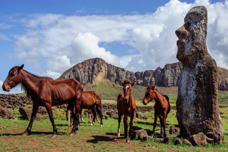 Isola di Pasqua, cavalli e moai
