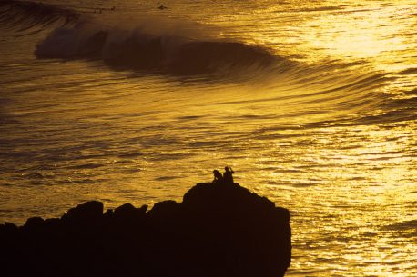 Surfers in Fernando de Noronha