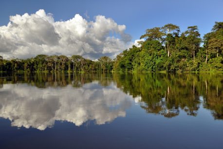 rainforest and clouds mirroring in the amazonas river