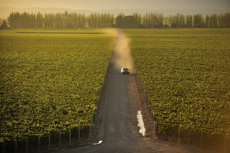 Argentina, Mendoza, Catena Zapata winery