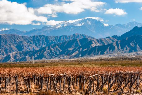 Argentina, Mendoza, Volcano Aconcagua and Vineyard