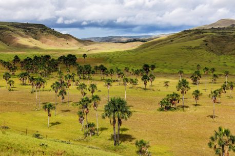 Beautiful landscape characteristic for the Gran Sabana