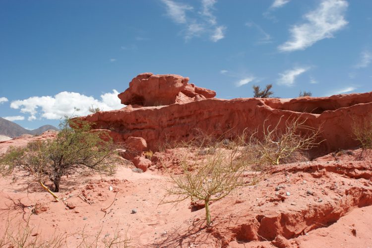 Quebrada de las Conchas Cafayate