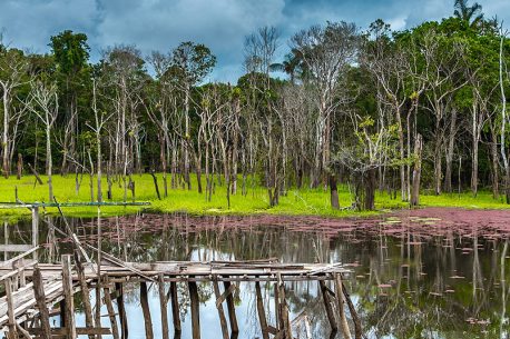 Wetlands in Pantanal
