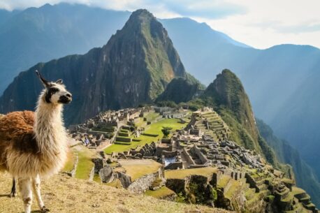 Machu Picchu con il suo paesaggio mozzafiato e una lama che è simbolo della tradizione andina.