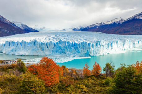 In Patagonia in autunno alberi dai colori arancioni e rossi si fondono con i ghiacciai creando paesaggi spettacolari.