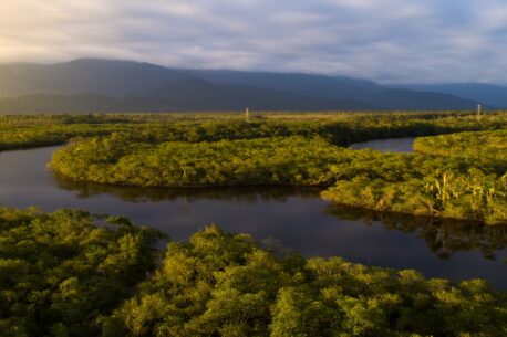 L'Amazzonia e la più grande foresta pluviale del mondo, ricca di biodiversità e fondamentale per il clima globale e l'ecosistema è attraversata dal fiume Amazonas che è il più lungo e voluminoso al mondo.