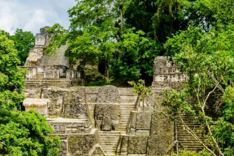 Tikal 2