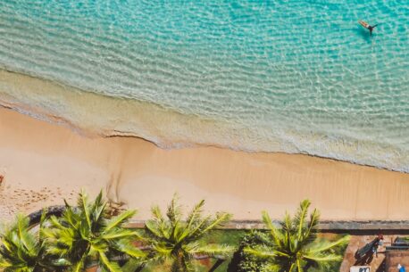 Praia do Forte è una località balneare in Bahia.Brasile, conosciuta per le sue spiagge paradisiache, resort e fauna.
