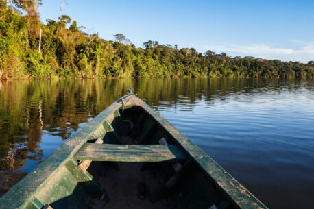 L'Amazzonia e la più grande foresta pluviale del mondo, ricca di biodiversità e fondamentale per il clima globale e l'ecosistema